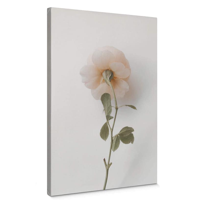 Stampa su tela Annie - Rosa
