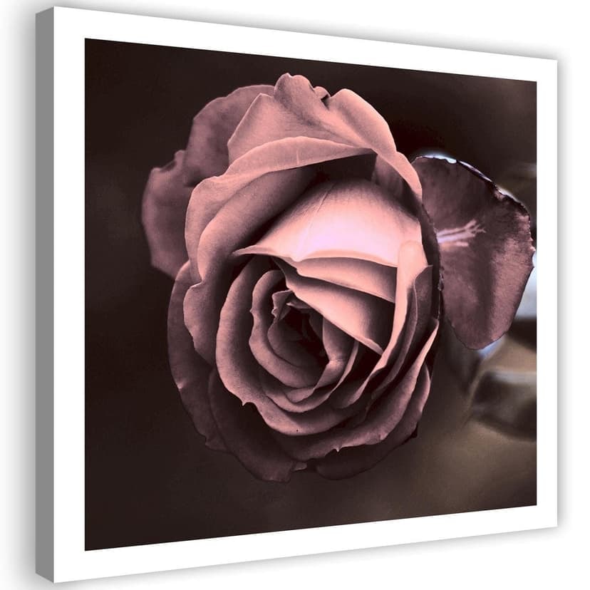 Stampe su tela, Bellissimi fiori di rosa