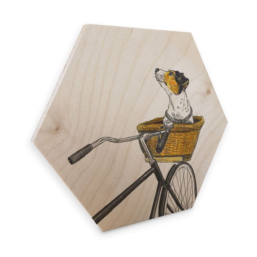 Esagoni in legno Sparshott - Cane