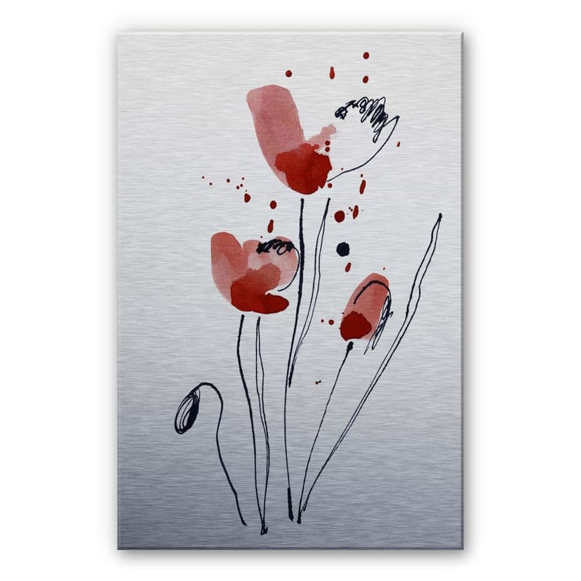 Fiori di papavero illustrati