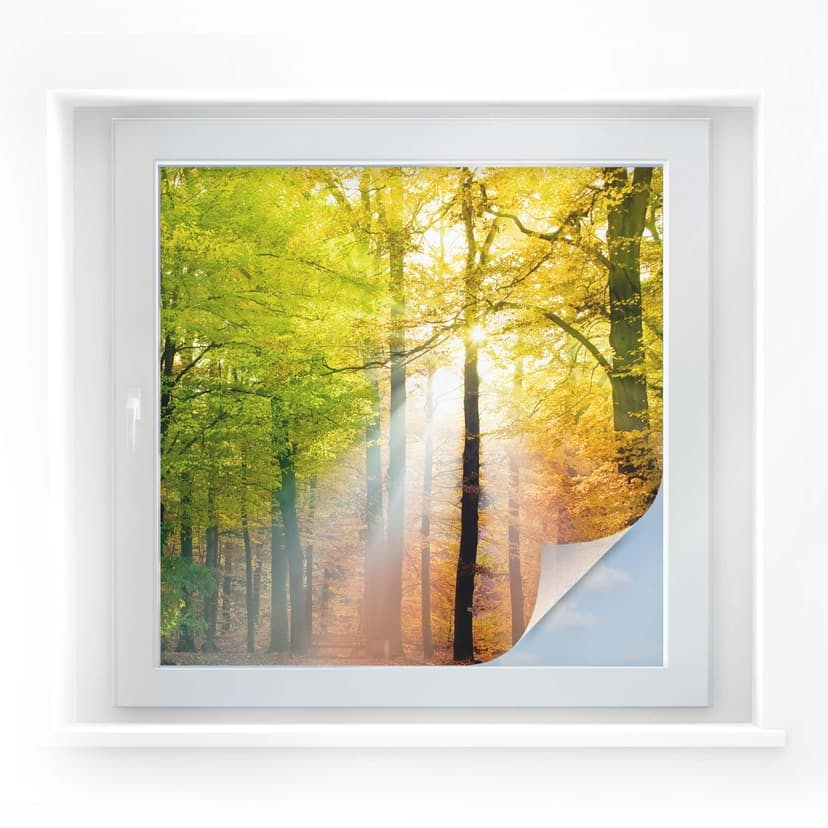 Pellicola adesiva per vetri - autunno dorato (quadrato)