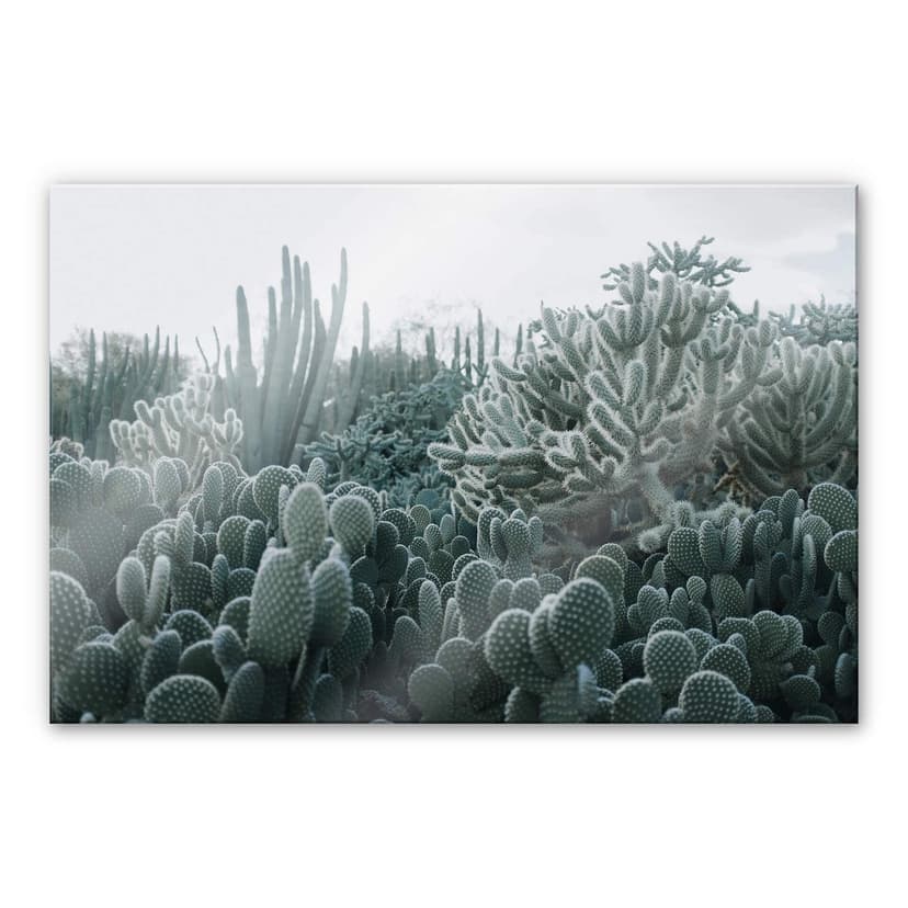 Stampa su vetro acrilico per cactus da quadro