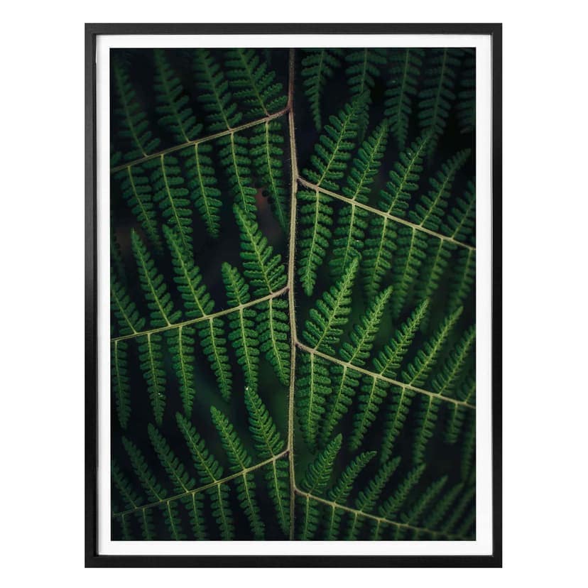 Poster Botanical 03