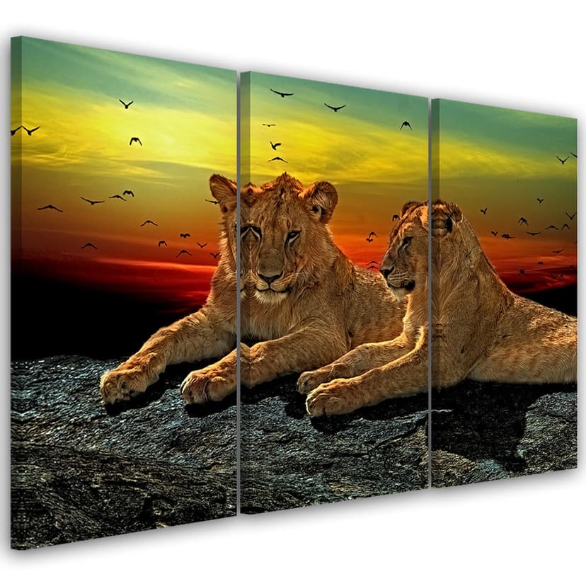 Stampa su tela 3 pezzi, Lions Wilderness Africa Nature