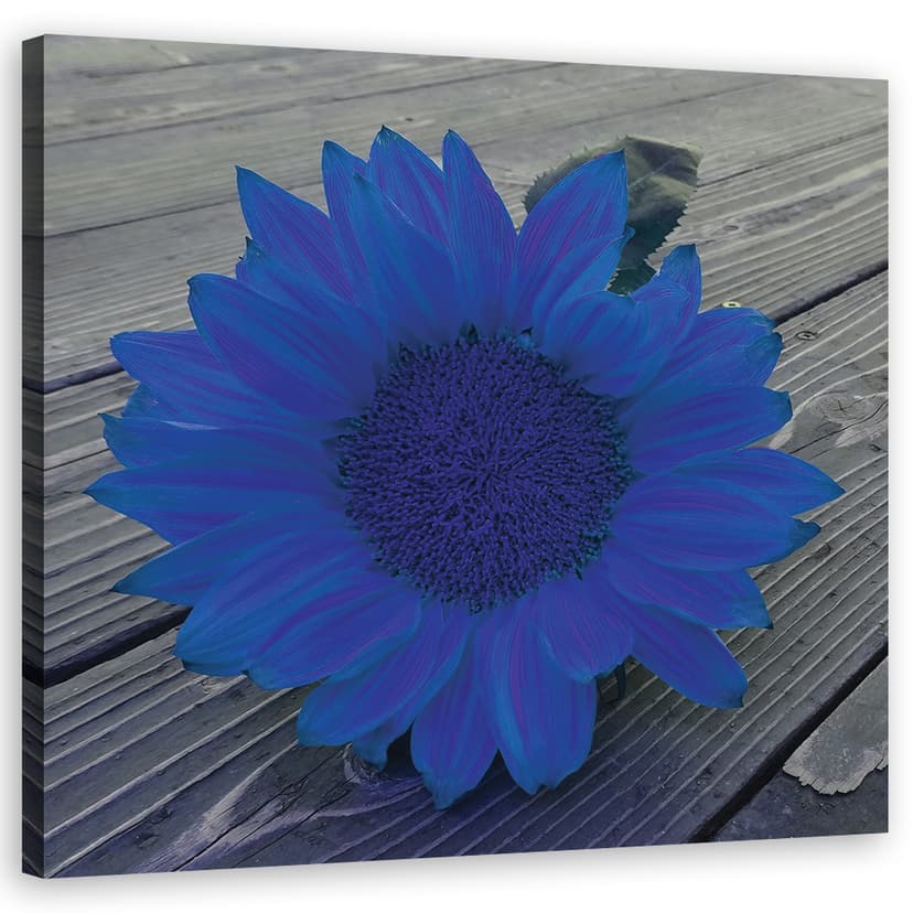 Stampe su tela, girasole blu