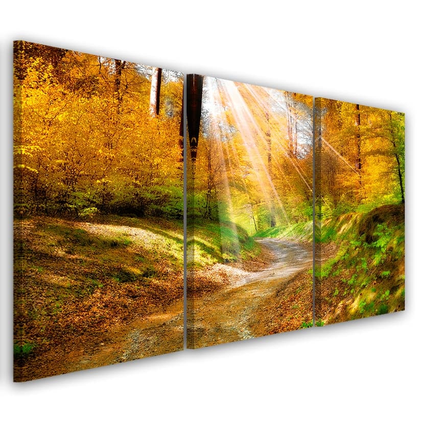 Stampa su tela 3 pezzi Foresta Autunno Natura