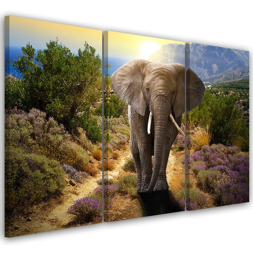 Stampa su tela 3 pezzi, elefanti Safari Africa animali selvatici