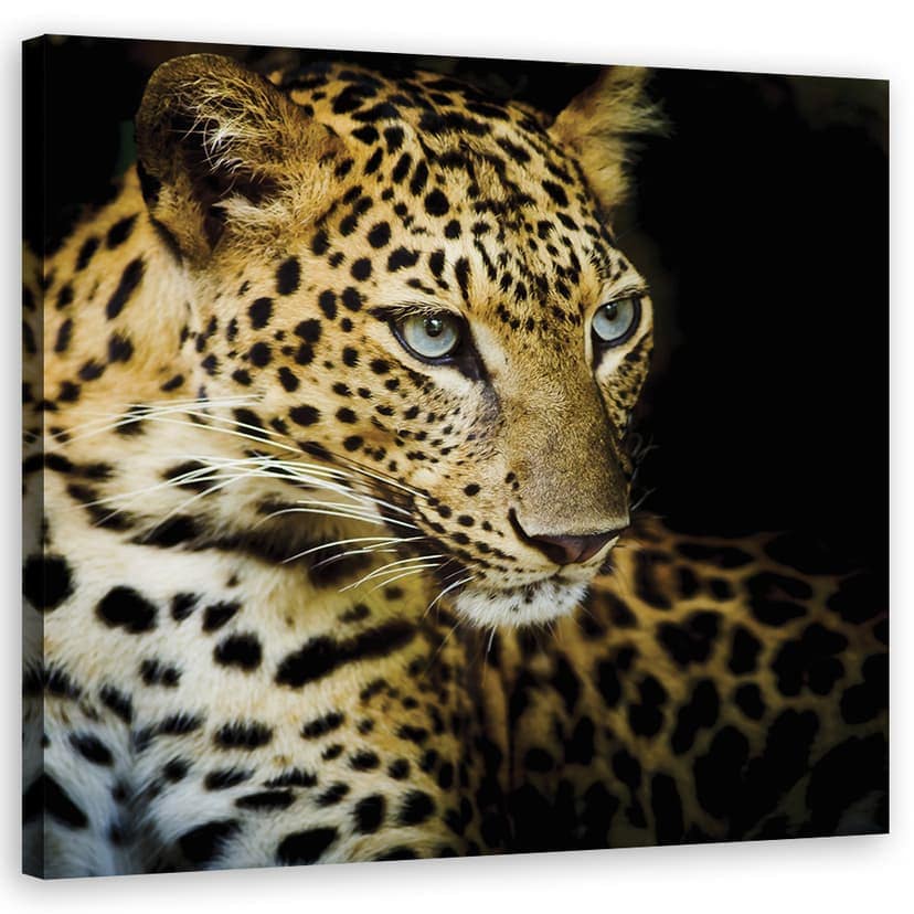 Stampe su tela, Leopardo maestoso