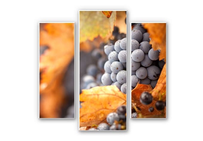 Stampa su Forex - La vite in autunno (3 parti)