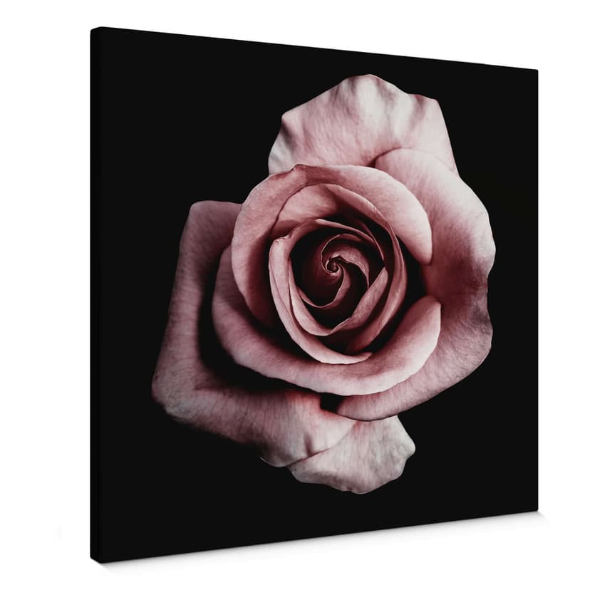 Stampa su tela - Rosa