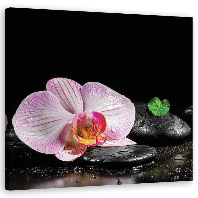 Stampe su tela, fiori di orchidea Zen Spa