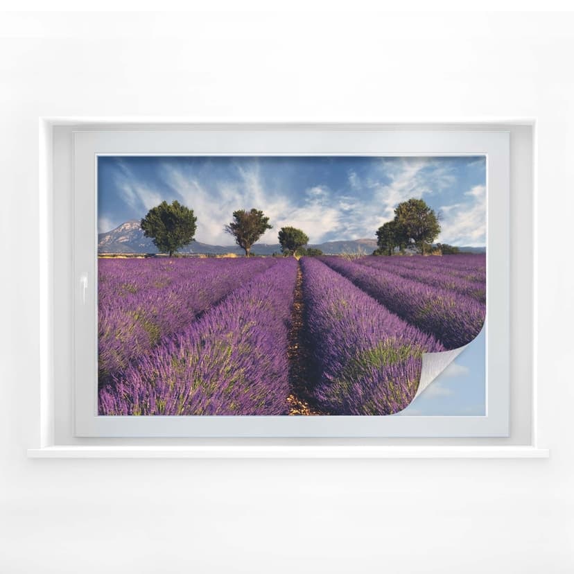 Pellicola adesiva per vetri - campo di lavanda