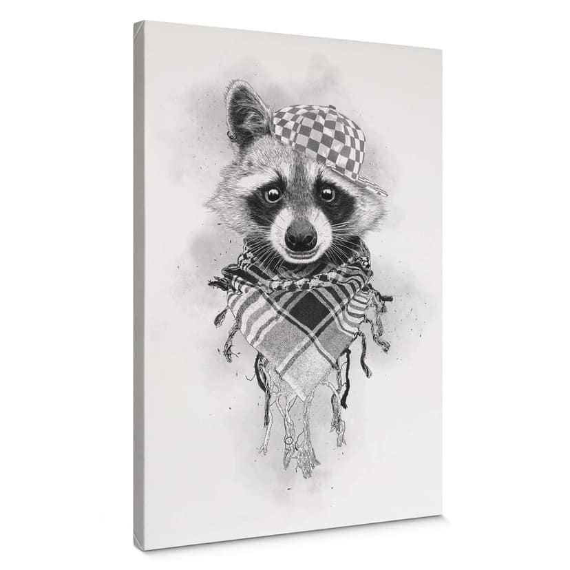 Stampa su tela Kools - Rocco Raccoon