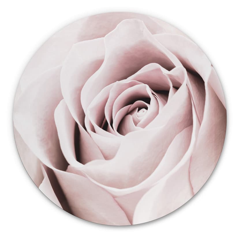 Alu-Dibond 1X Studio - Rosa - tondo