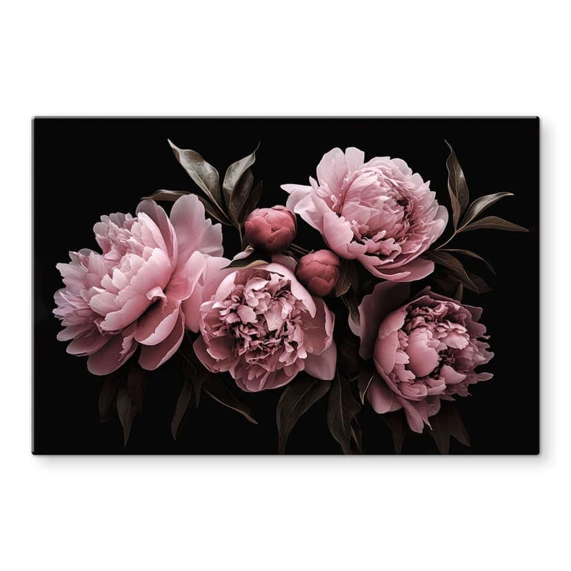 Stampa su vetro Peonia rosa - Haase