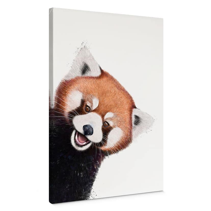 Stampe su tela Panda Rosso - Korenkova