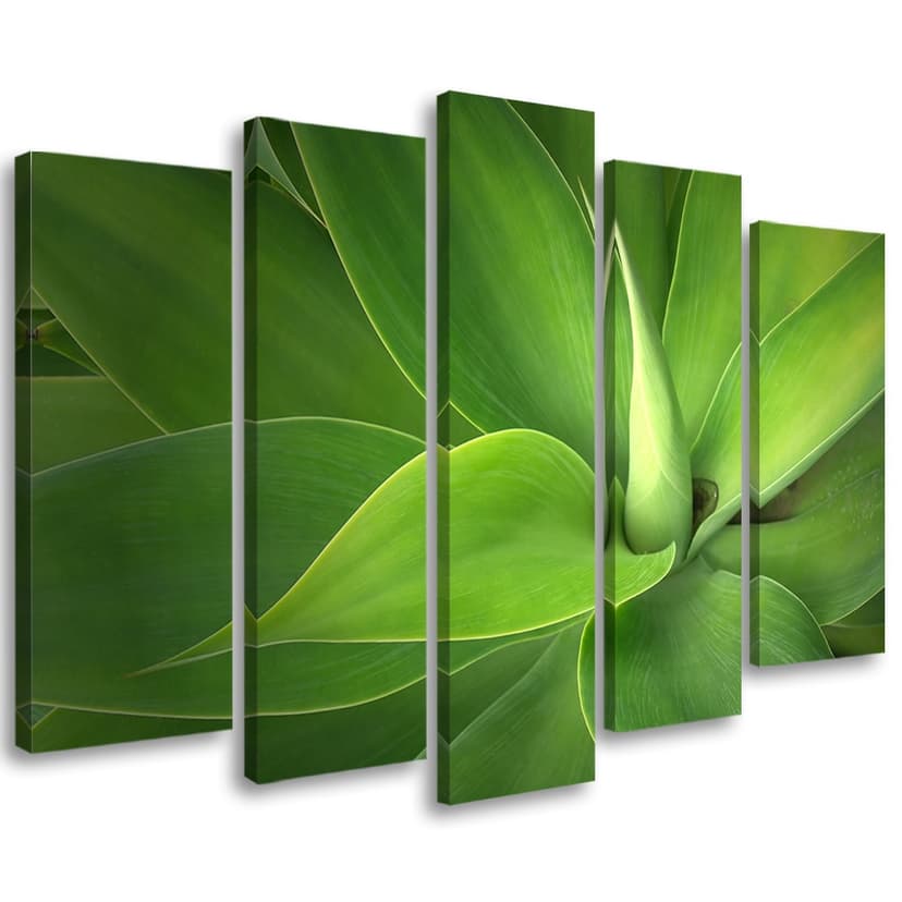 Stampa su tela 5 pezzi Piante a foglia verde