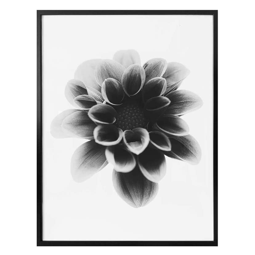 Poster Grønkjær - Dalia