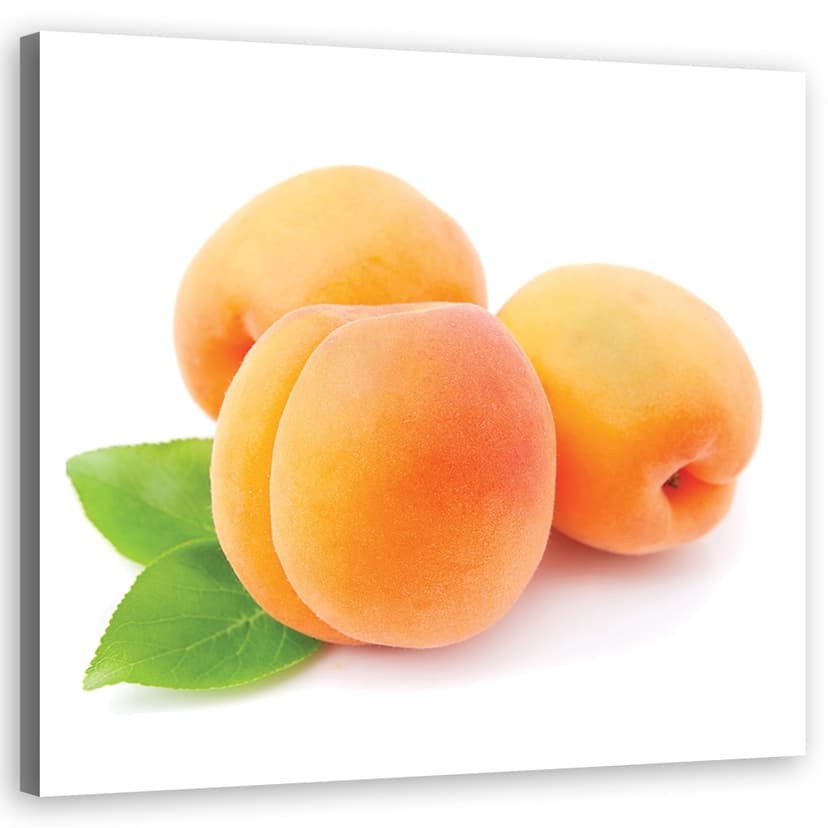Stampe su tela, frutta albicocca