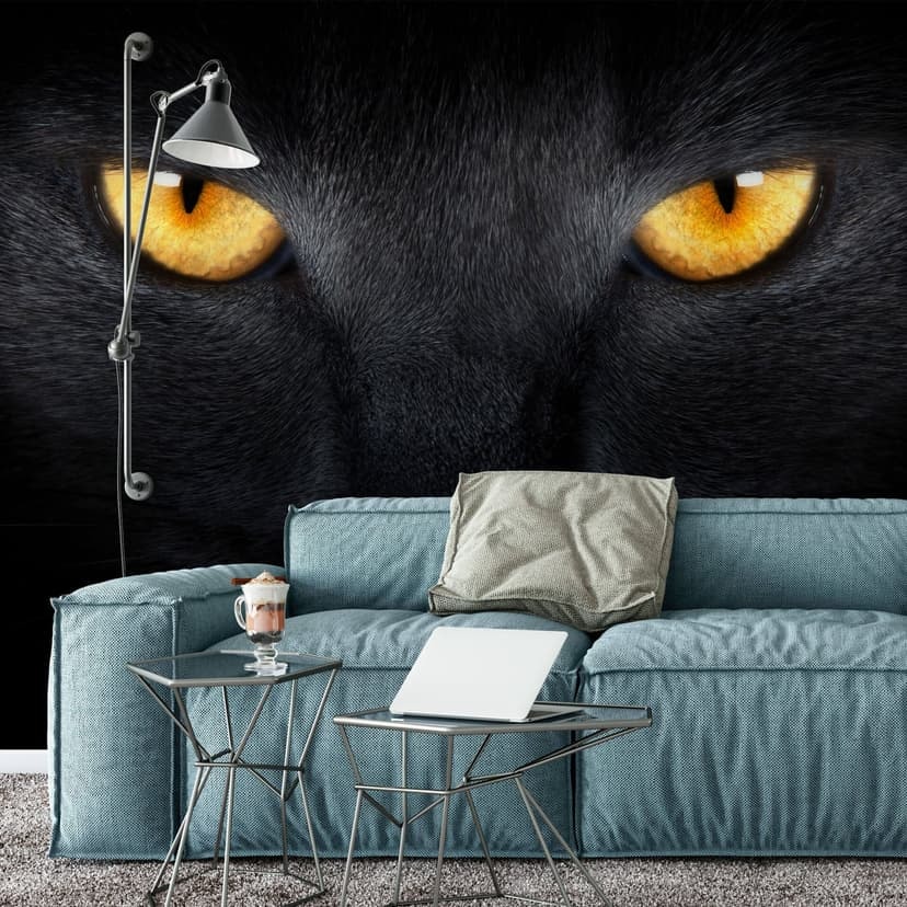 Fotomurale Occhio di gatto - 432x260 cm