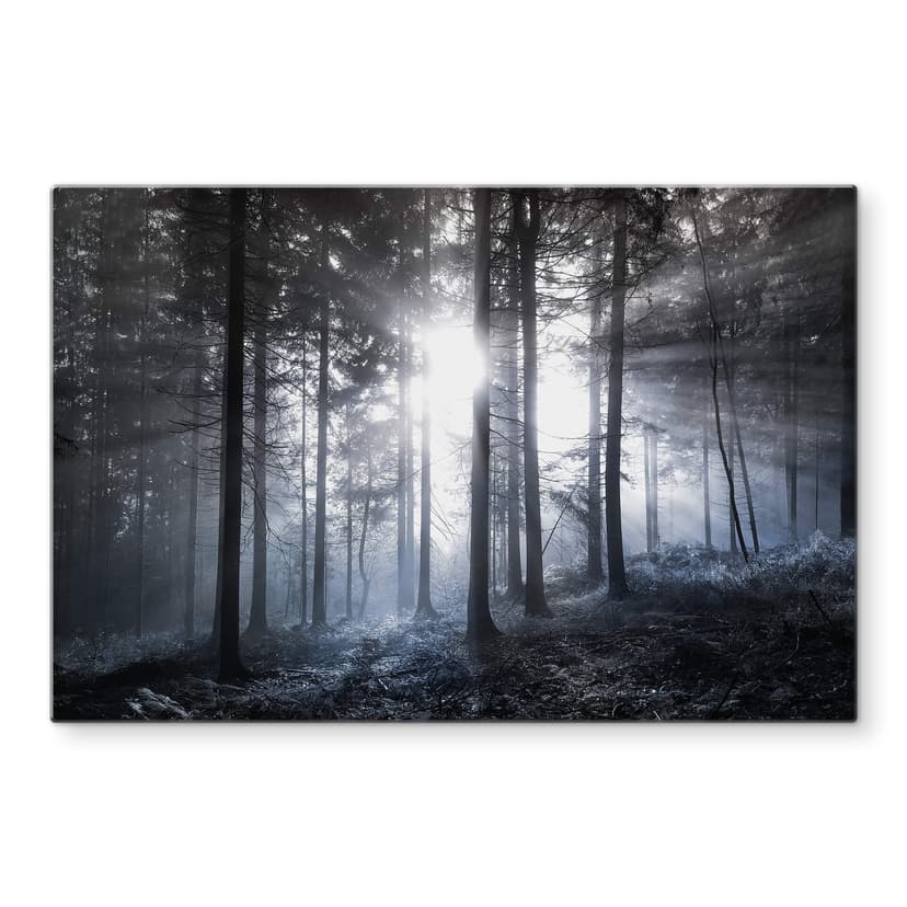 Stampa su vetro - Foresta