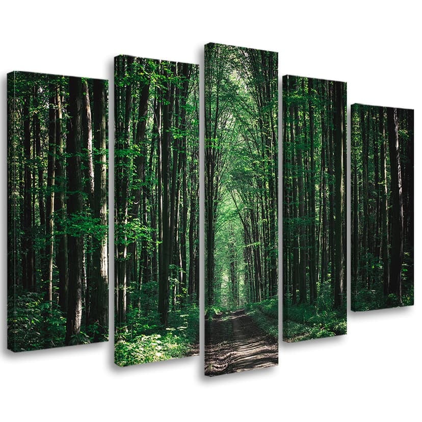 Stampa su tela 5 pezzi, natura verde foresta