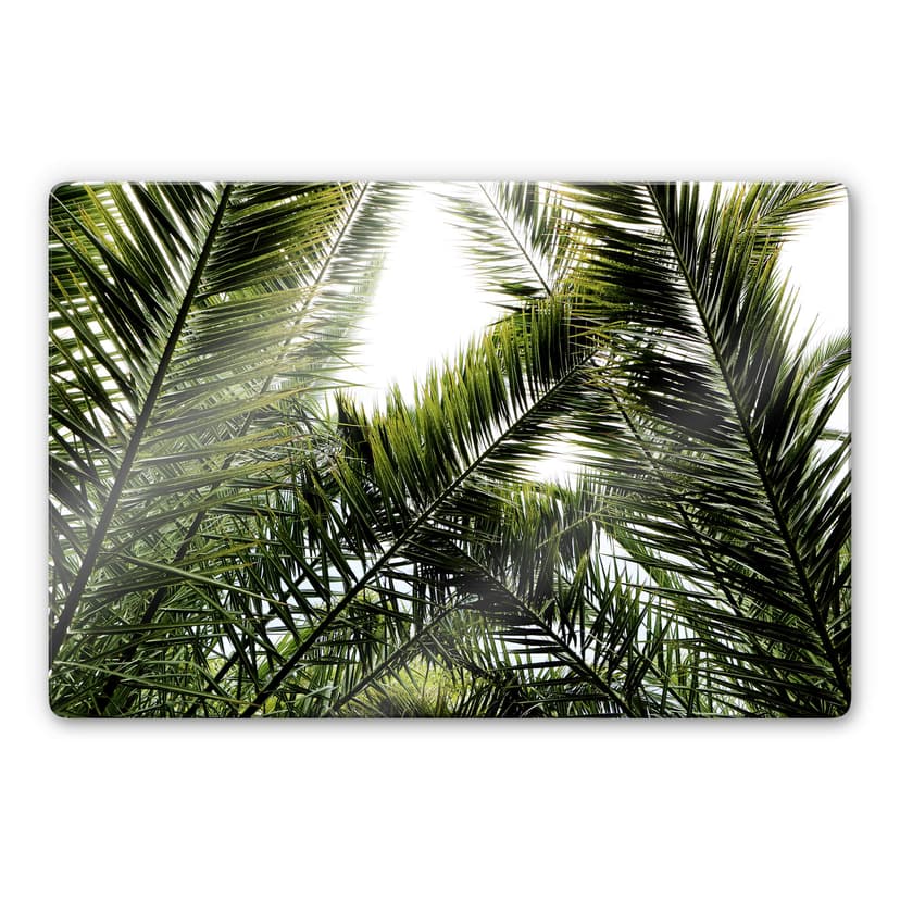 Glasbild Dattelpalme