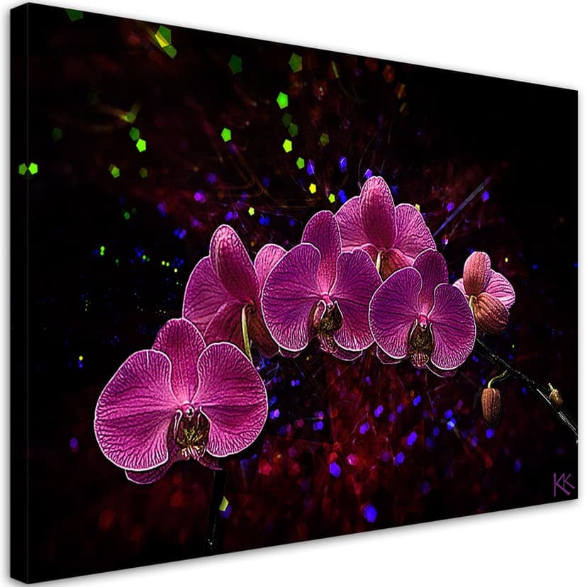 Stampe su tela, Fiori di orchidea rosa Spa
