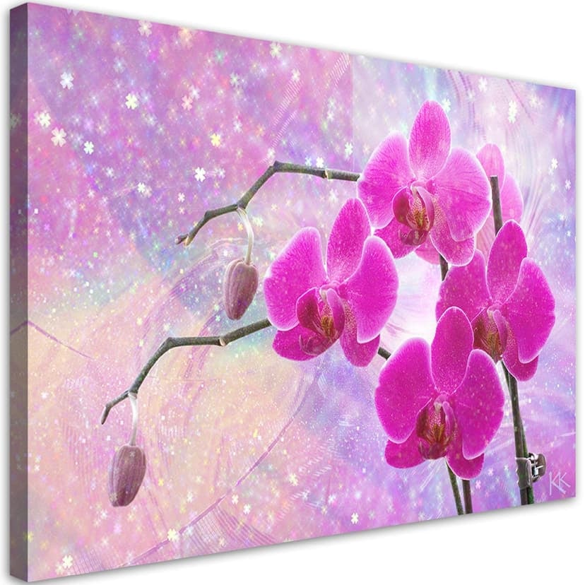Stampe su tela, Fiori di orchidea astratti rosa