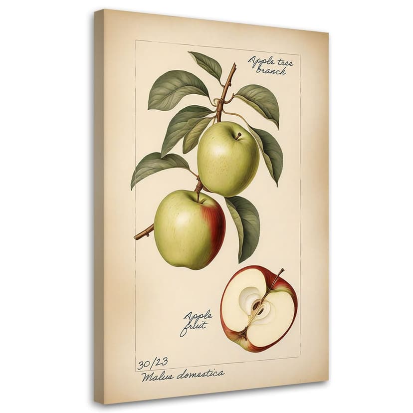 Stampa su tela, raccolta di frutta mela