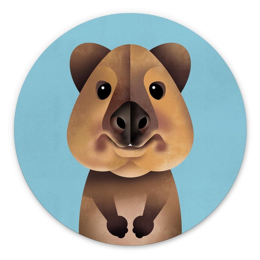 Cerchio a muro Braun - Quokka