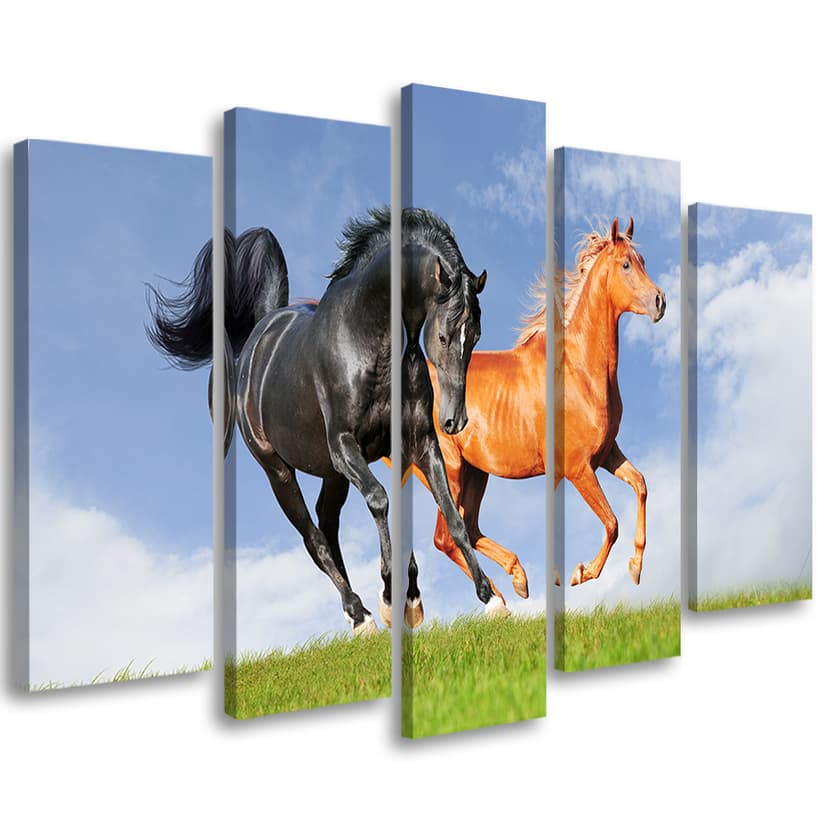Stampa su tela 5 pezzi, Cavalli al galoppo