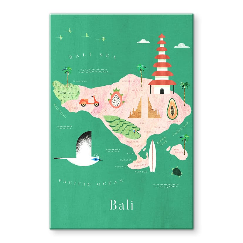 Stampa su vetro Mappa di Bali - Rivers