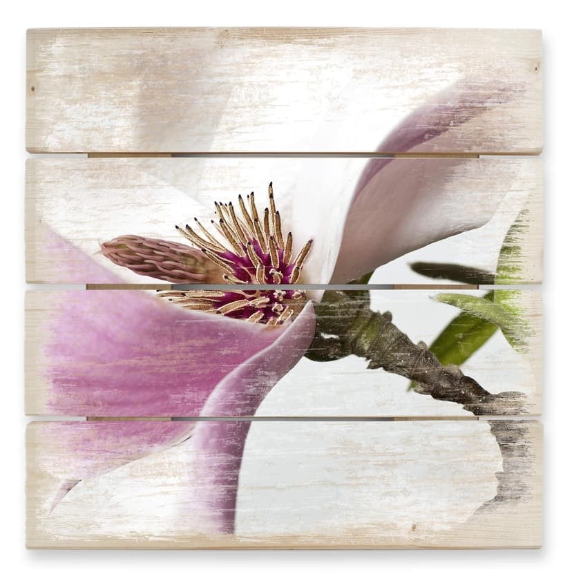 Stampa su legno - Magnolia