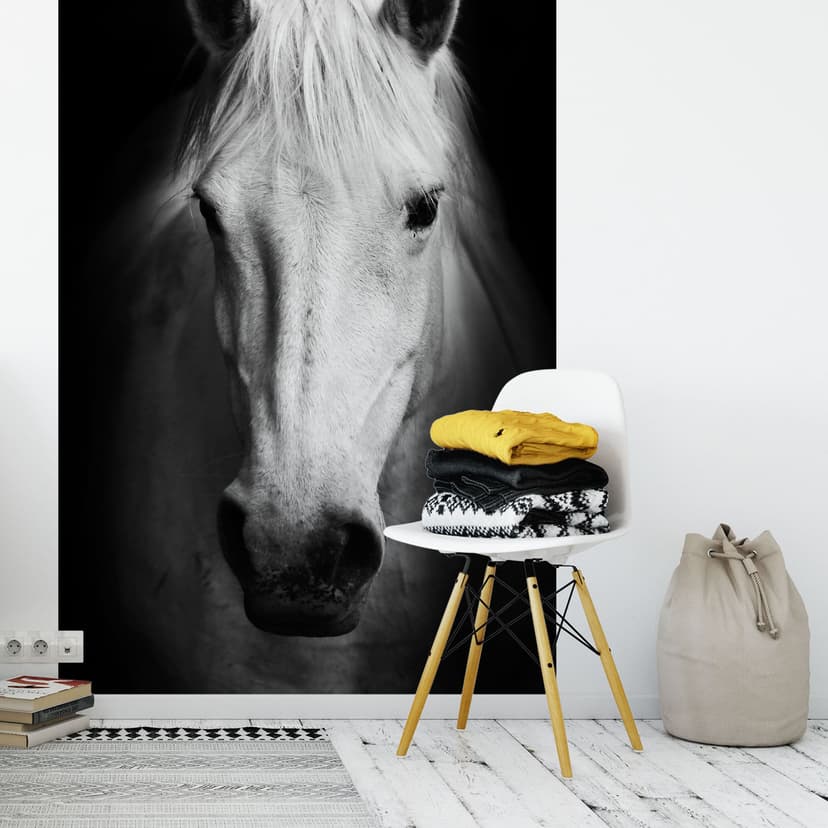Fotomurale White Horse - 144x260 cm