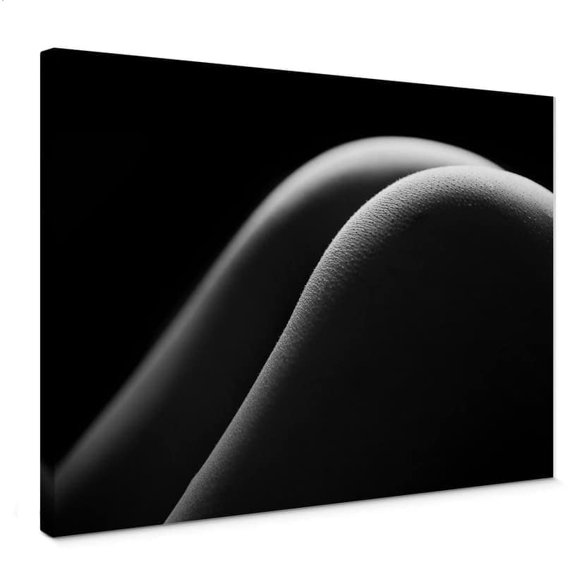 Stampa su tela - Curve sexy