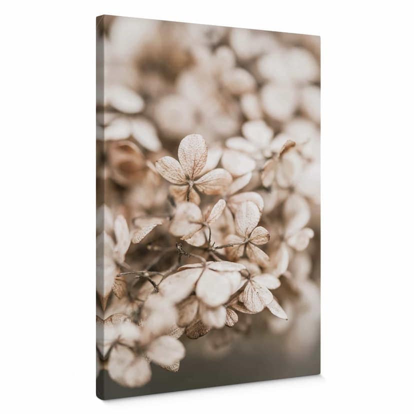 Stampa su tela Annie - Fiori di velluto
