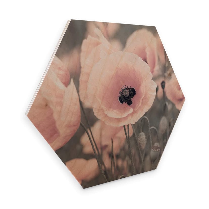 Esagoni in legno Delgado - Papavero rosa
