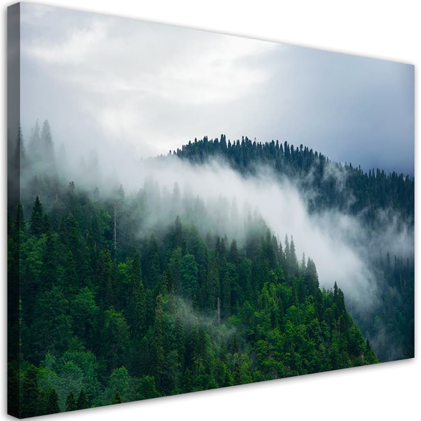 Stampe su tela, Foresta nella nebbia