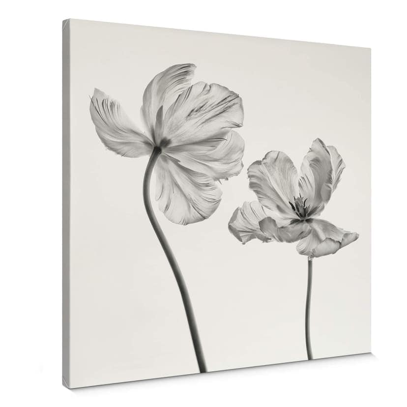 Stampa su tela Grønkjær - Fiori di tulipano