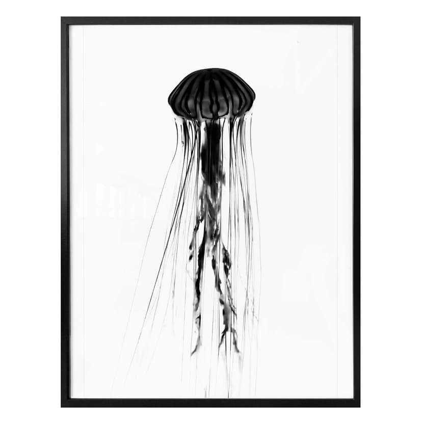 Poster - Medusa nera