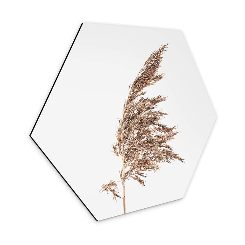 Esagoni Alu-dibond Erba ornamentale No. 2
