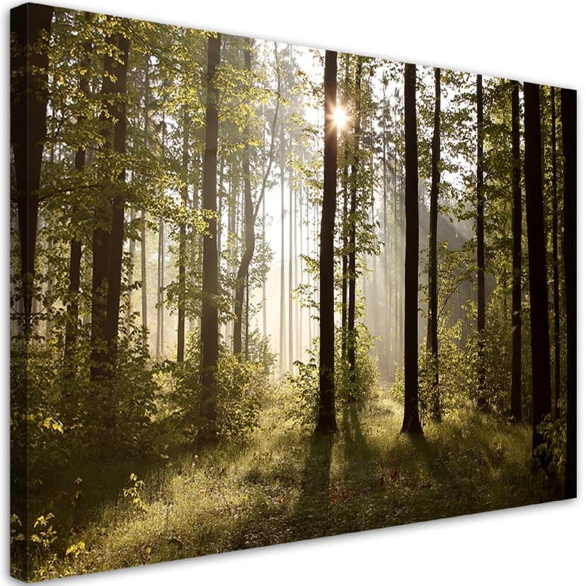 Stampe su tela, Mattina nella foresta