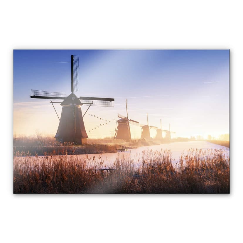 Stampa su vetro acrilico Pablo - Kinderdijk 4