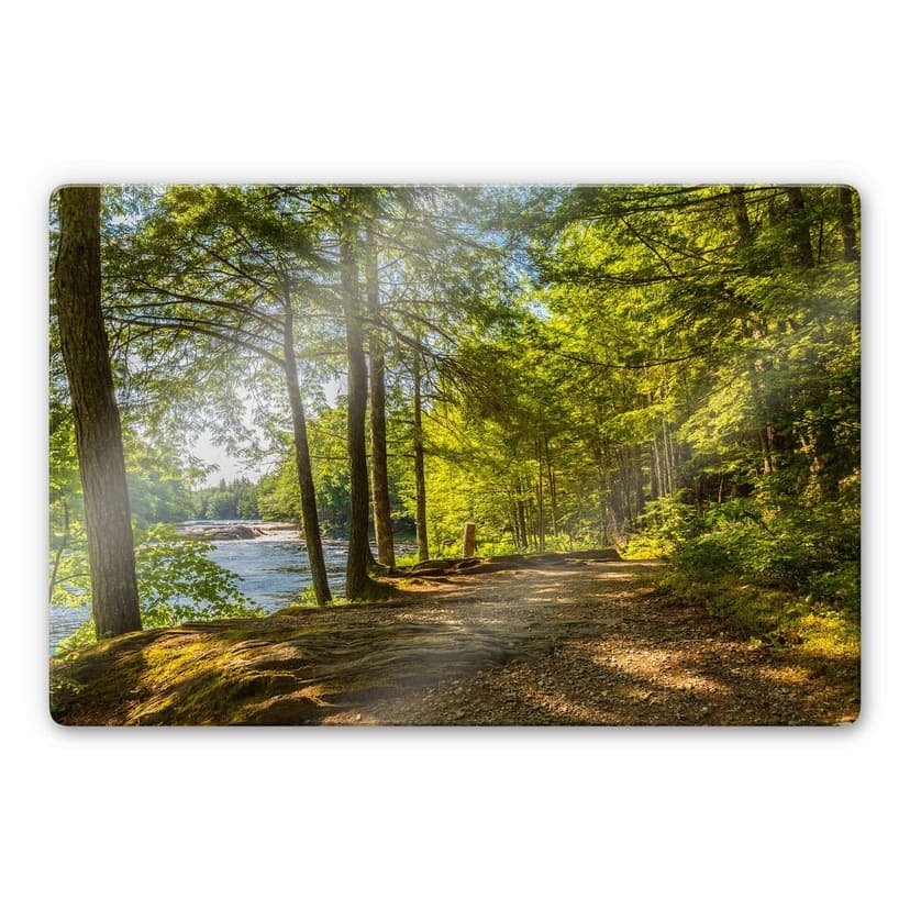 Glasbild Waldweg am Fluss