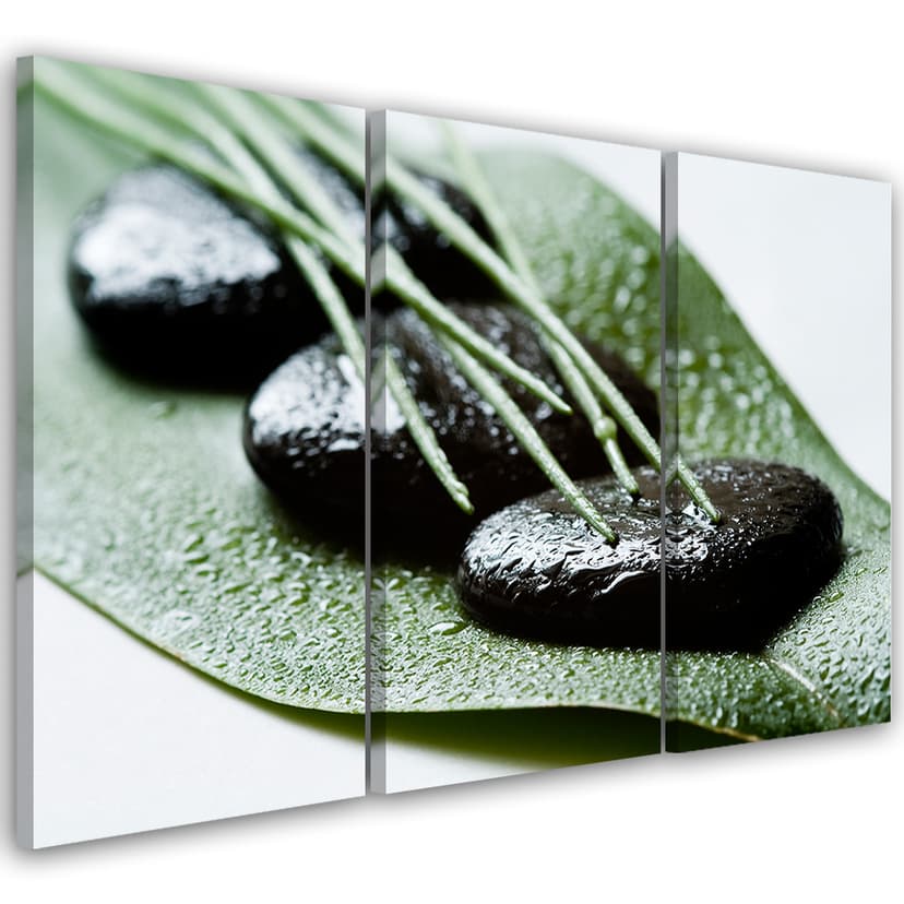 Stampa su tela 3 pezzi Pietre Fogliame Natura Zen