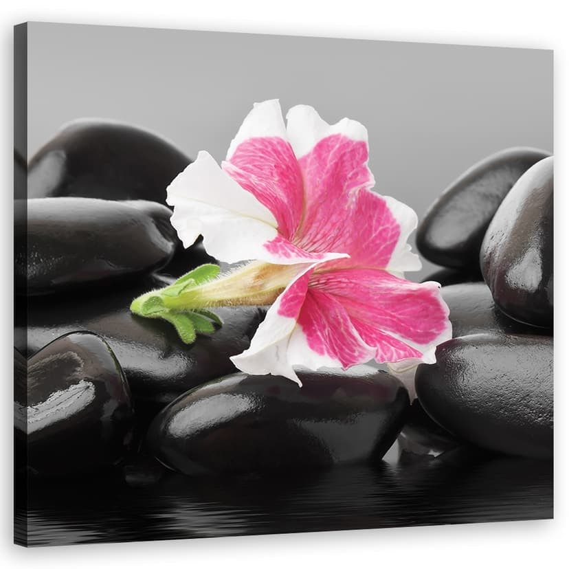 Stampe su tela, Fiori rosa su pietre zen