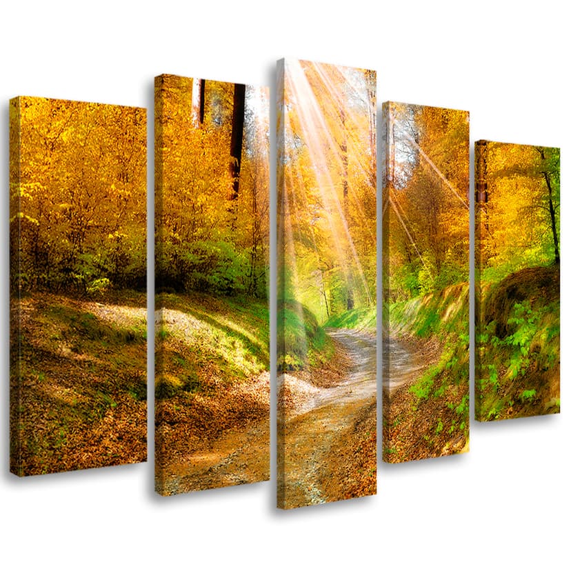 Stampa su tela 5 pezzi Foresta Autunno Natura