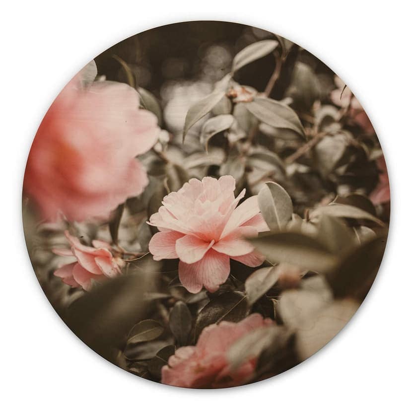 Stampa su legno Annie - Rose - tondo
