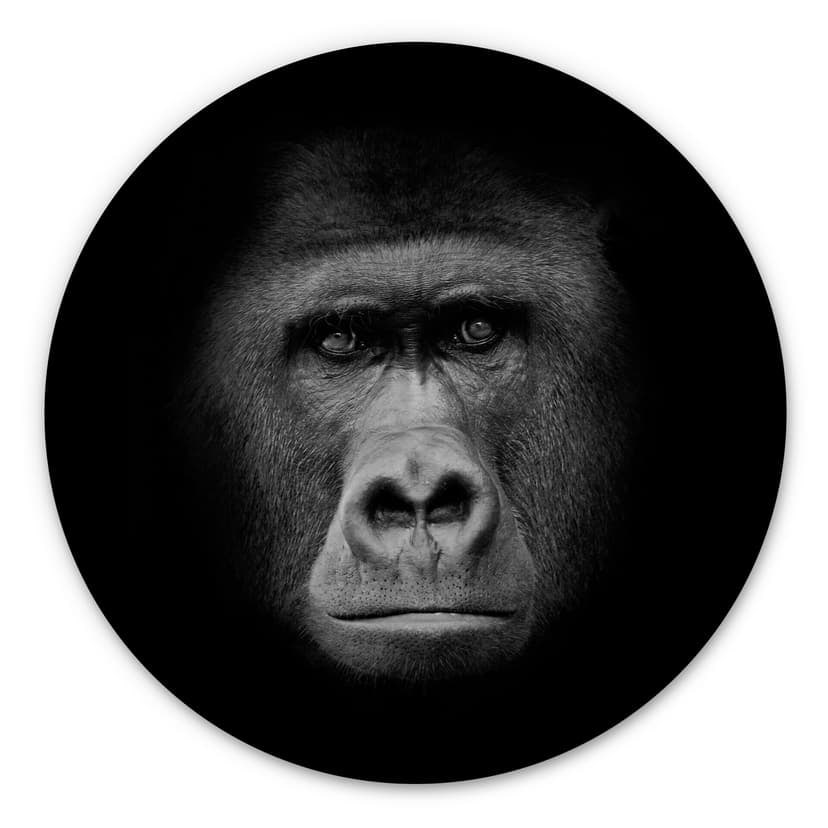 Stampa su legno Gorilla - tondo